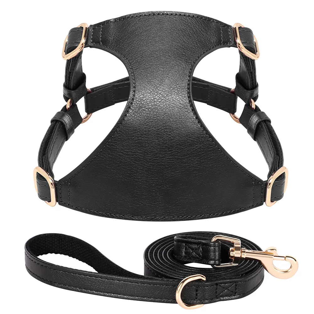 Cat leash harness